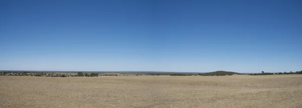 Panoramic View of an Australian Farm in Summer — стокове фото