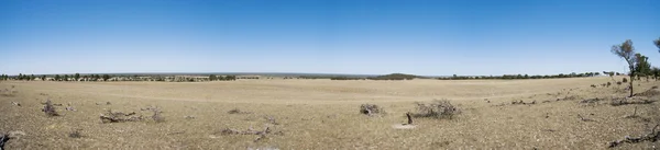 stock image Panoramic View of an Australian Farm in Summer