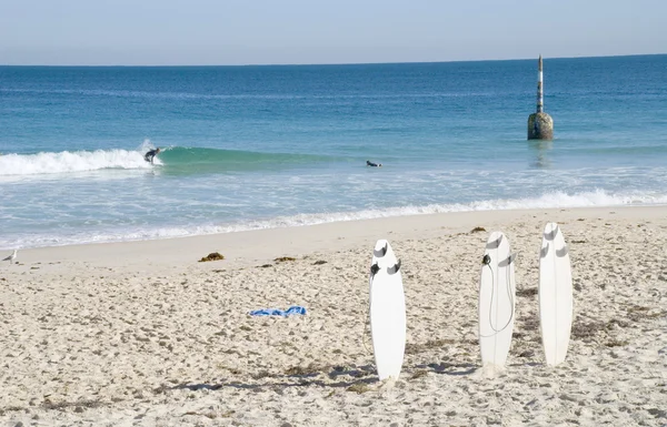 stock image Surfboards at Cottesloe Beach