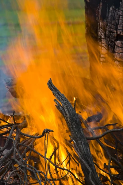 Пламя бушующего костра — стоковое фото