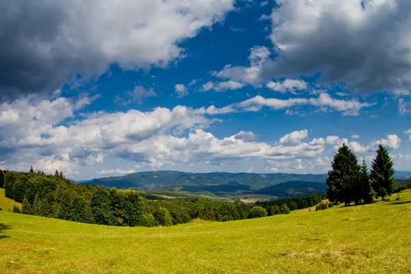 Panoramic View in nature — Stock Photo, Image