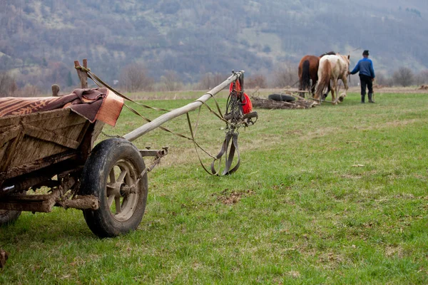 Rural foto met paarden en kar — Stockfoto