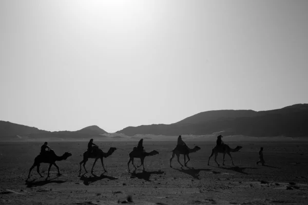 Caravana en el desierto Marruecos — Foto de Stock