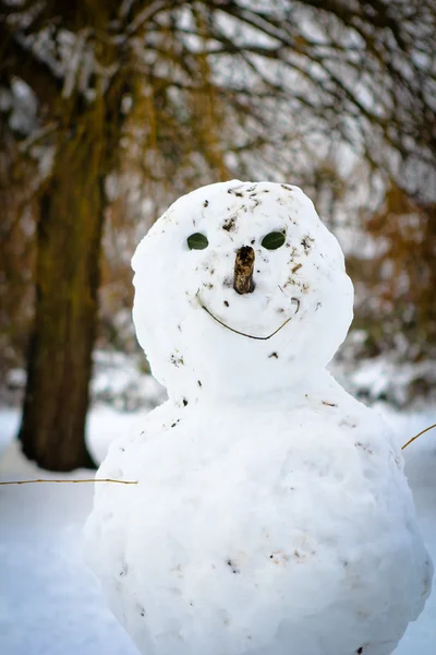 stock image Happy snowman