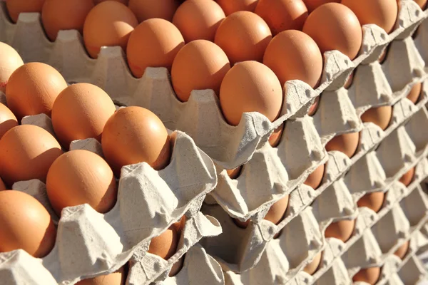 Huevos frescos — Foto de Stock