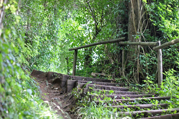 Wooden stairway in nature on a spring day