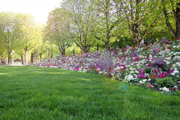 Прекрасний сад Стокова Картинка