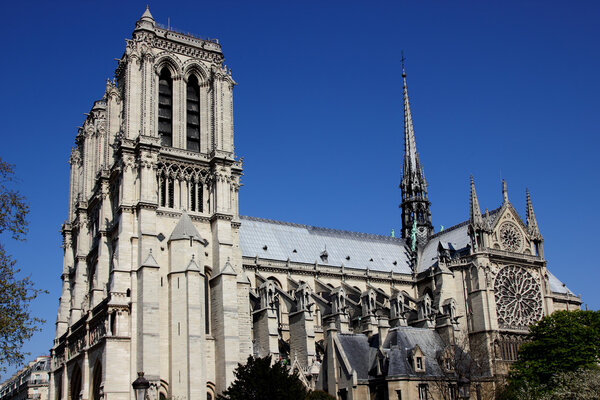 Stunning Notre Dame Cathedral. Paris, France