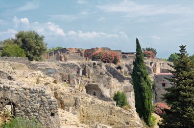 Pompei'nin kalıntıları üzerine bush