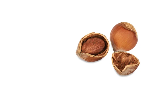 Two Hazelnuts — Stock Photo, Image