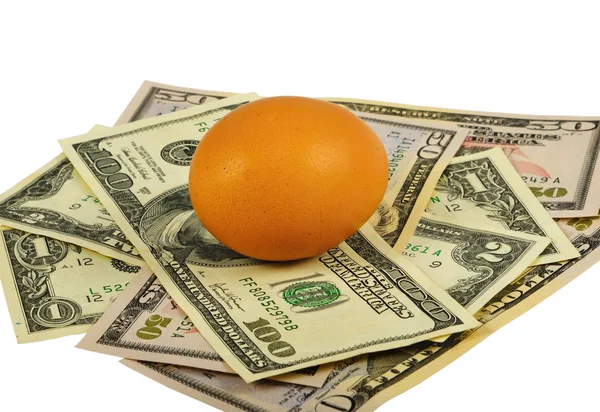 Brown Egg And Dollars — Stock Photo, Image