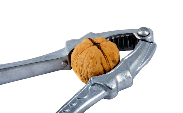 Щелкунчик с орехом — стоковое фото