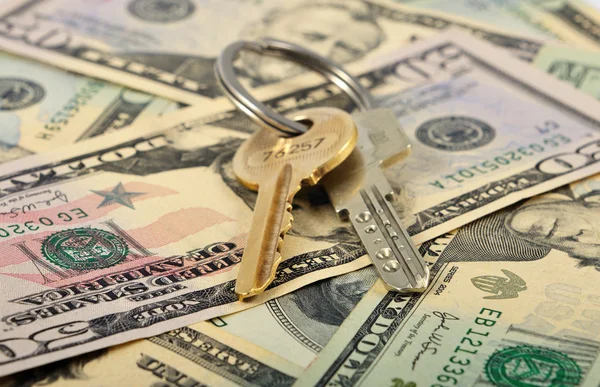 Banch Of Keys And Money — Stock Photo, Image