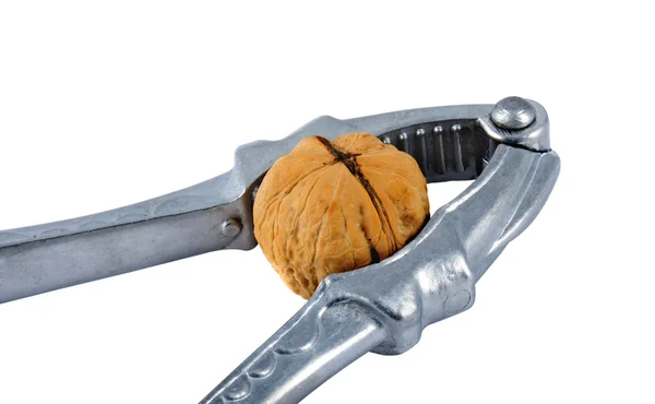 Louskáček s vlašskými ořechy — Stock fotografie