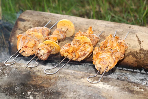 stock image Barbecue on the firewood