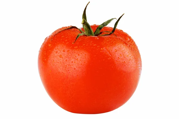 domates çiğ damlaları ile