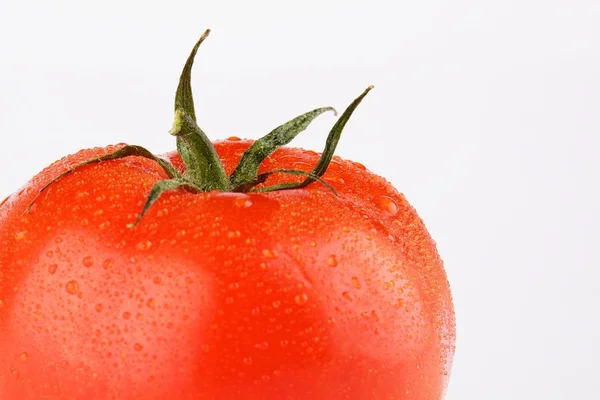 Tomat med daggdroppar — Stockfoto