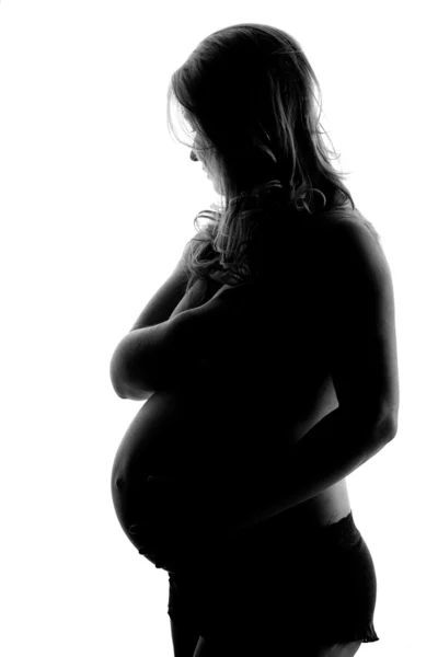 Профиль силуэта беременных женщин Стоковое Фото