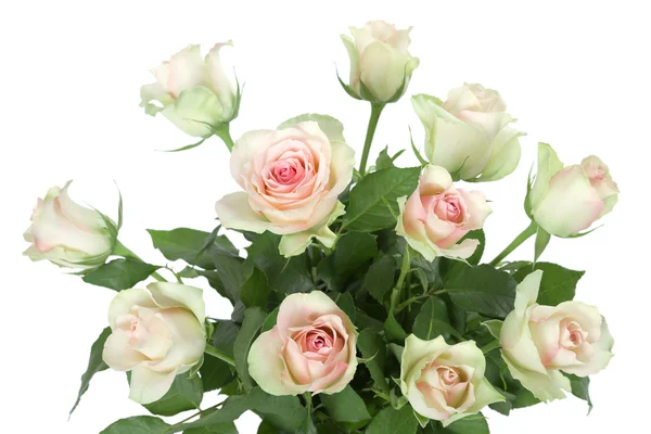 Buquê de rosas sobre fundo branco — Fotografia de Stock