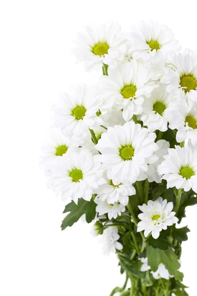 stock image Bouquet of white flowers