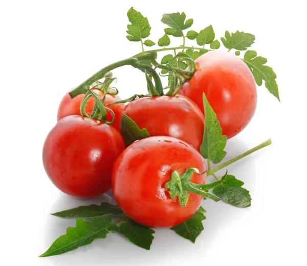 stock image Tomatos