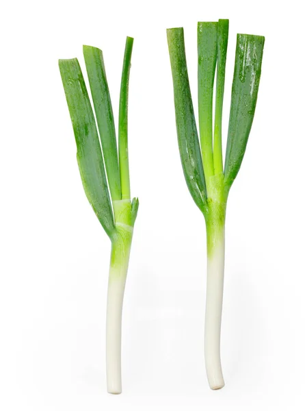 Japanese onions — Stock Photo, Image