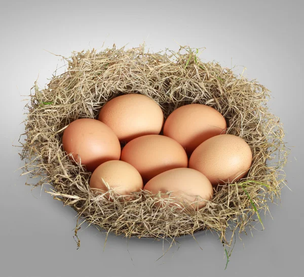7 달걀 — 스톡 사진