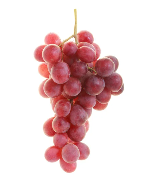 红葡萄 — 图库照片