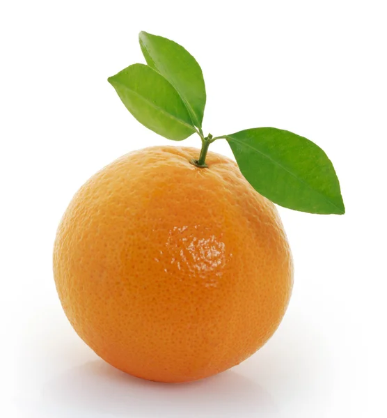 Апельсин на белом фоне — стоковое фото