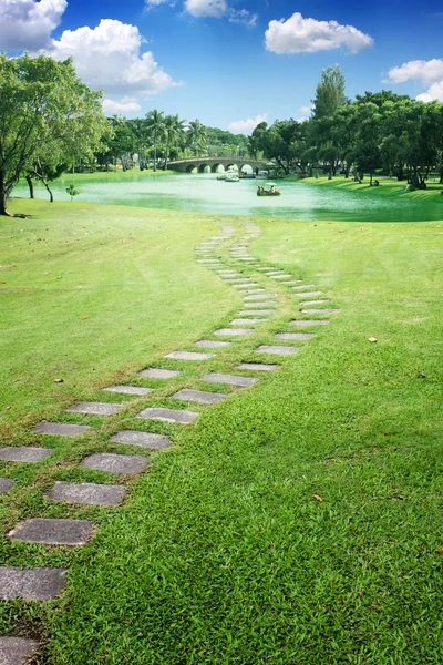 Campo verde — Foto de Stock