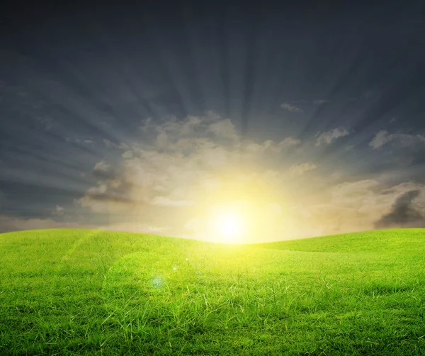 Zelené pole při západu slunce — Stock fotografie