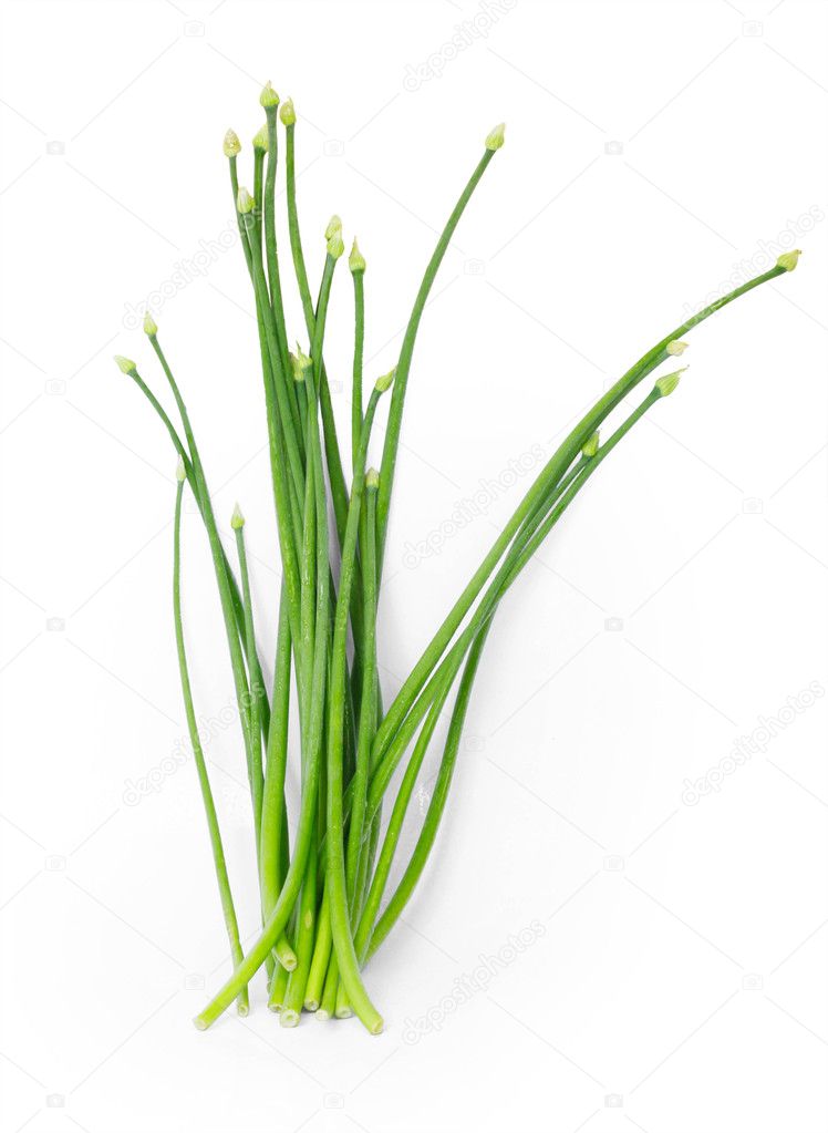 Chinese chive flower