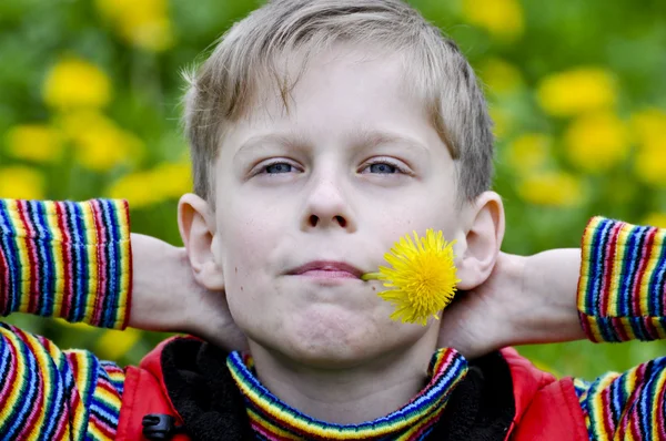 Happy boy in the field of dandelion — Stock Photo, Image