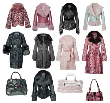 Collection fur coat clipart