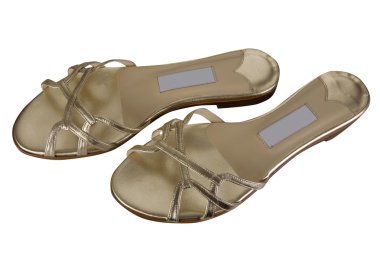 Kadın Ayakkabıları