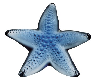 Blue sea star animal clipart