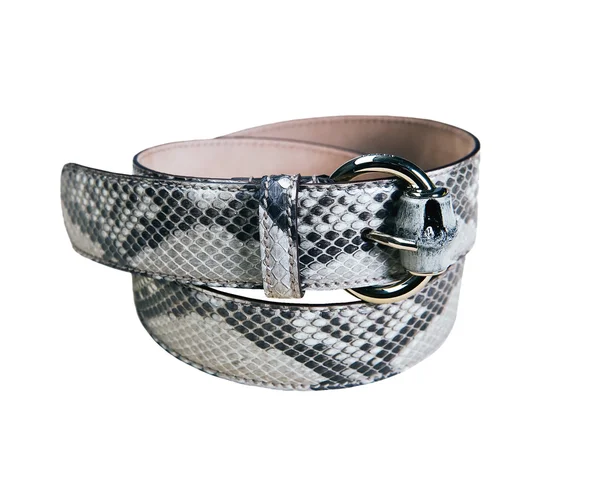 Gray skin belt — Stock Photo, Image