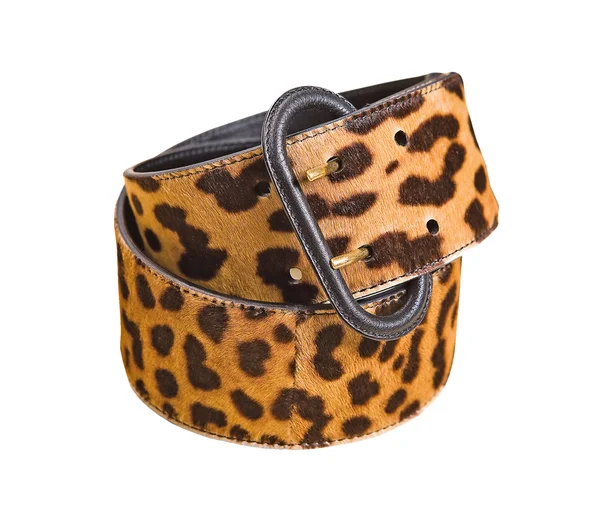 Cinturón leopardo —  Fotos de Stock