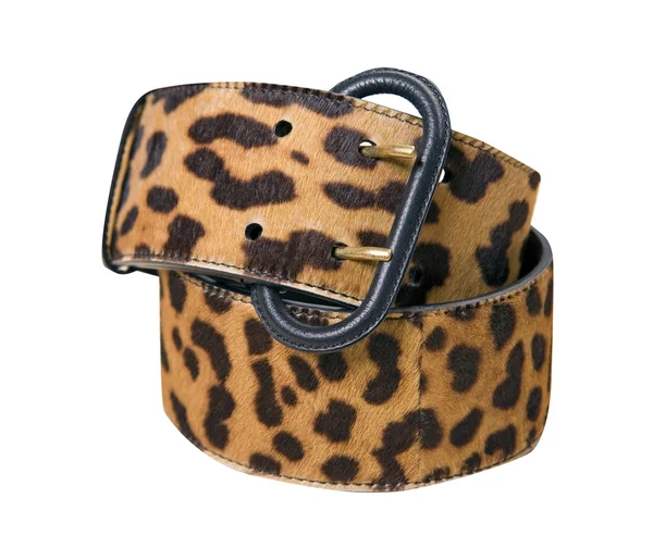 Cintura di leopardo — Foto Stock
