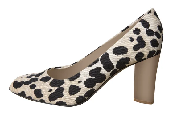 Sapato de leopardo — Fotografia de Stock