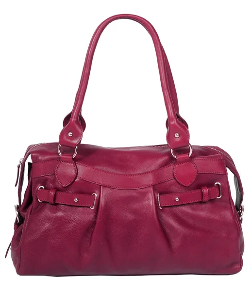 stock image Women bag