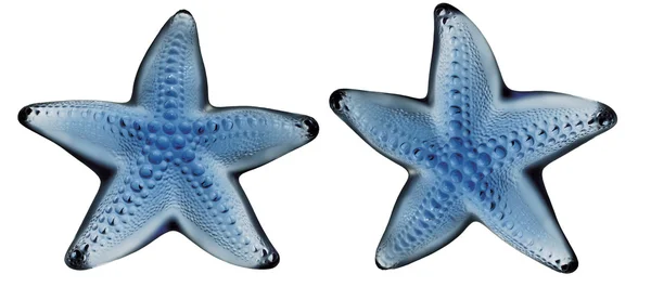 stock image Blue sea star animal