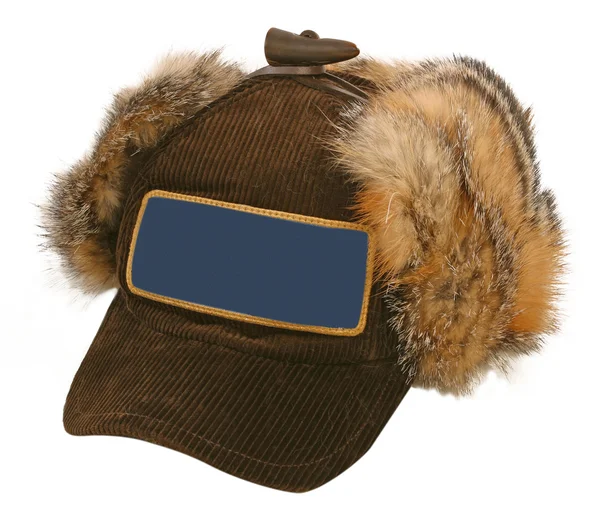 Kış kürk şapka — Stok fotoğraf