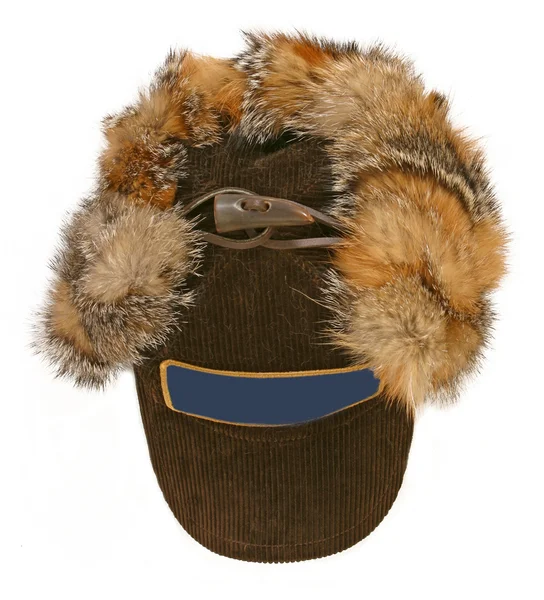冬季毛皮帽 — 图库照片