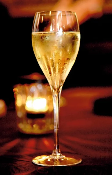 Single bocal of champagne close-up over red background — Stock Photo, Image
