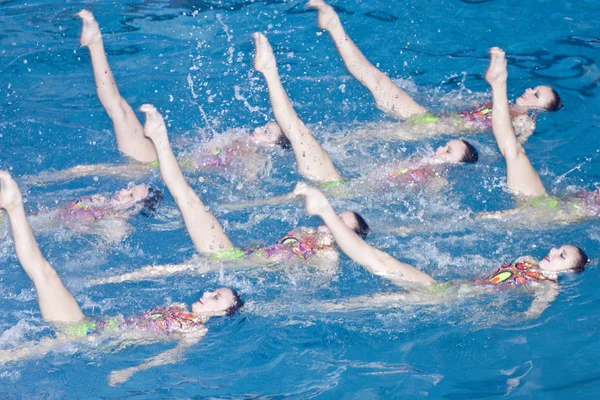 동기화 된 수영 — 스톡 사진