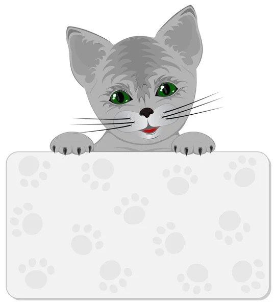 Petite chatte — Image vectorielle
