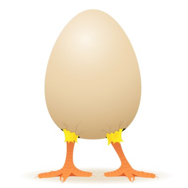 Chicken in egg clipart