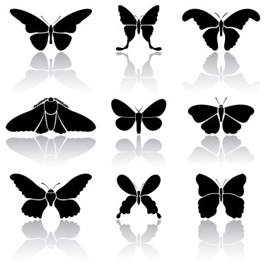 Butterflies clipart