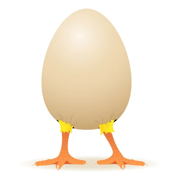 鶏の卵で — ストックベクタ